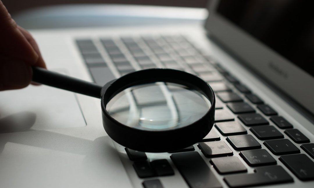 Search Bars on Legal Websites: Putting Power at Fingertips