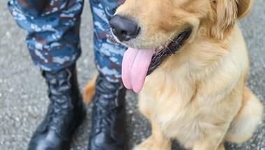Her husband or her dog? One Scorpion employee chose to support both when given the opportunity to support a charity on the company’s behalf. Keep reading to find out how you can get involved.