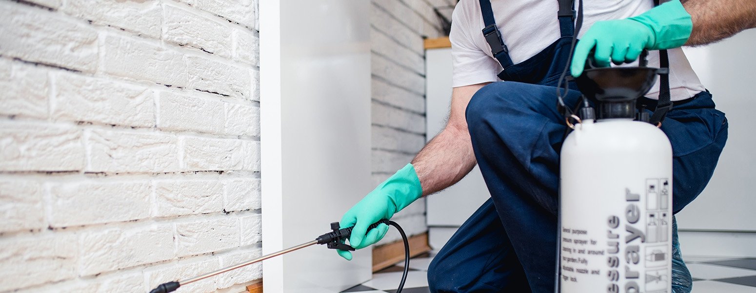 How to Increase Your Pest Control Leads (& Where to Find Them)